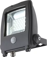 Светильник уличный с датчиком движения Globo 34219S, черный, LED, 1x20W купить с доставкой по России