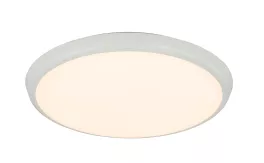 Светильник потолочный Globo Aemon 32109, LED, 1x24W купить с доставкой по России