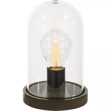 Интерьерная настольная лампа Fanal Ii 28187 купить с доставкой по России