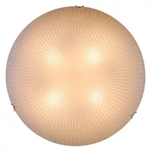 Настенно-потолочный светильник Shodo 40602 купить с доставкой по России