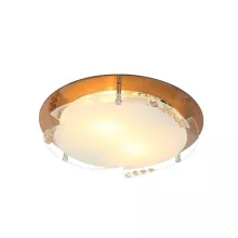 Настенно-потолочный светильник Armena 48083-2 купить с доставкой по России