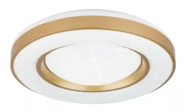 Светильник потолочный Globo Colla 41742-48RGB, LED, 1x48W купить с доставкой по России